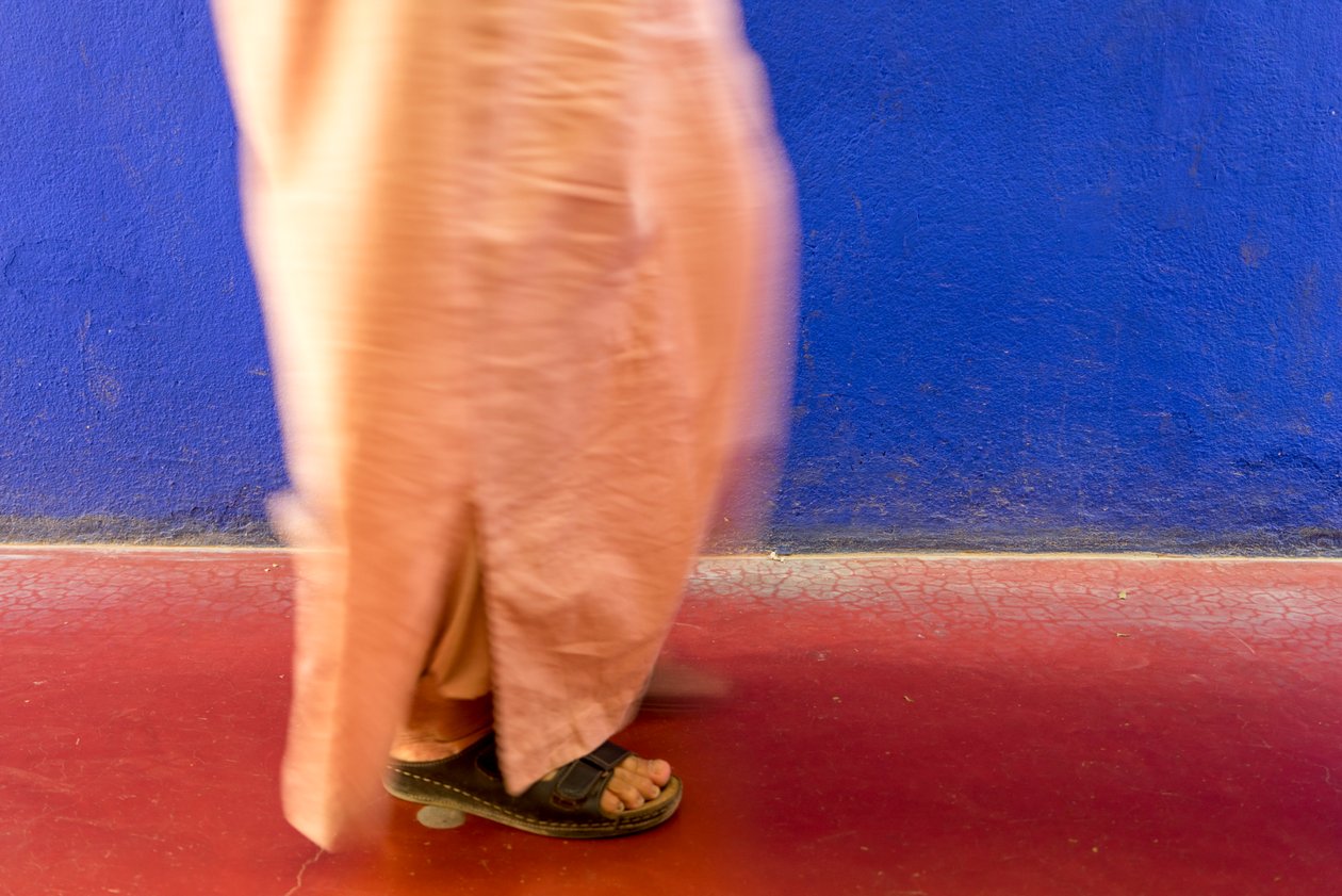 Kävely sinisen seinän ohi Majorellen puutarhassa Jardin Majorelle Marrakechissa, Marokossa, 2014 (kuva). tekijältä Ira Block