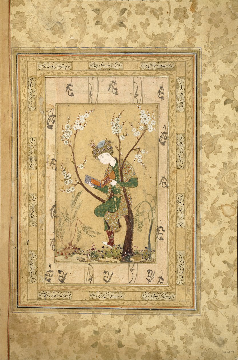 Nuoriso istuu kukkivan puun haarukassa, 1560-luku tekijältä Iranian Master