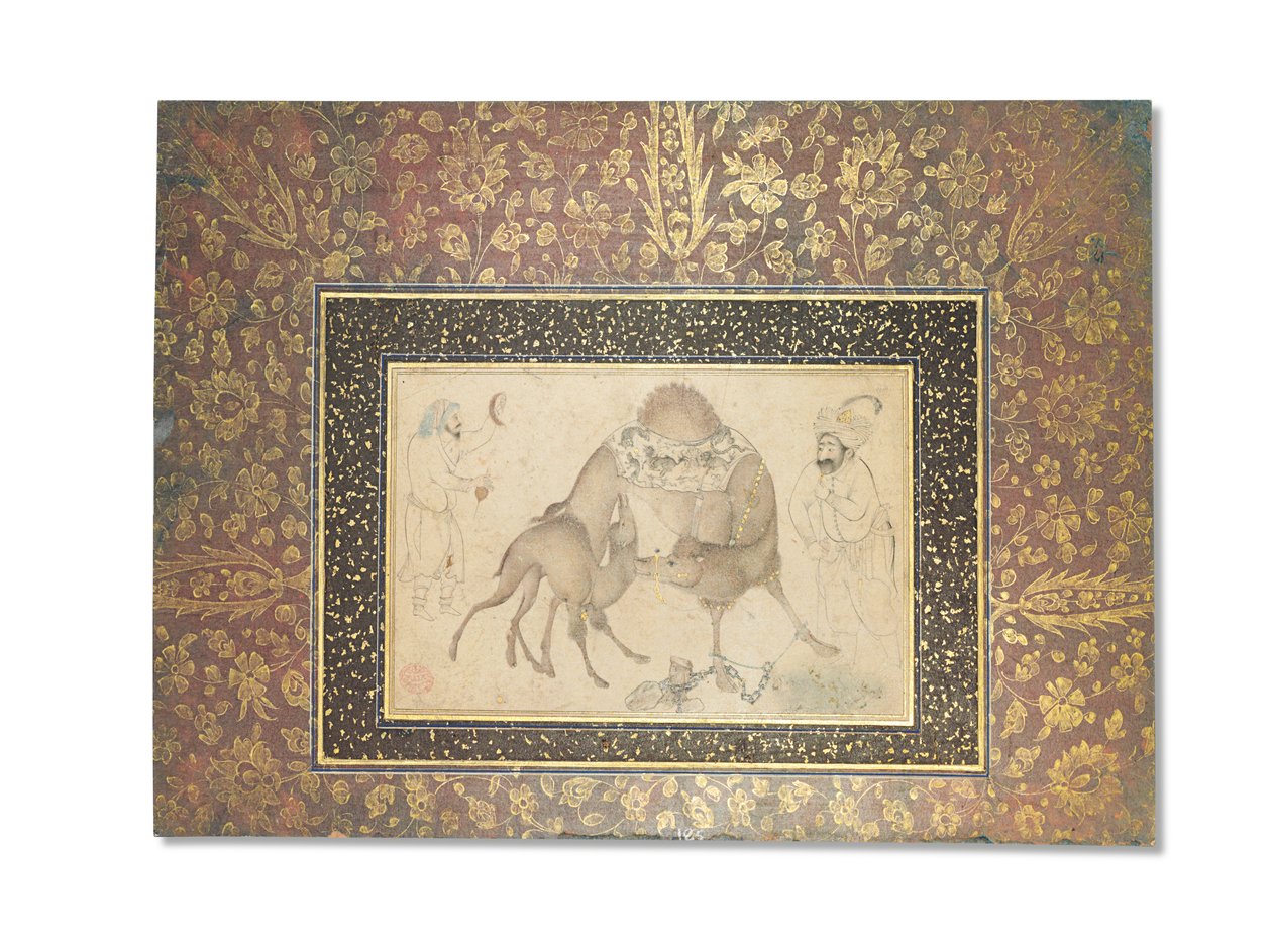 Kameli ja hänen vasikkansa, Safavid Iran, 1650-1700 tekijältä Iranian School