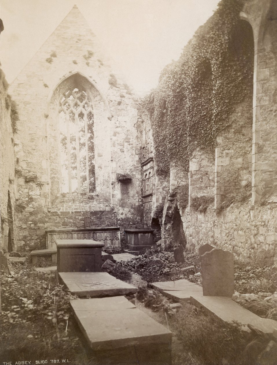 Sligo Abbeyn rauniot (seepiakuva) tekijältä Irish Photographer