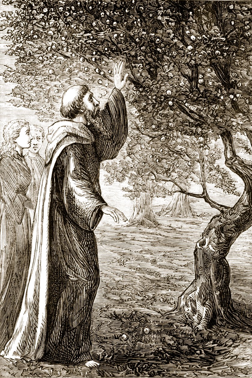 St. Columba muuttaa katkerat hedelmät makeiksi, Mary Cusackin (1829-1899) 1890-luvulla julkaistusta The Trias Thaumaturgasta eli Three Wonder-Working-Working Saints of Ireland tekijältä Irish School
