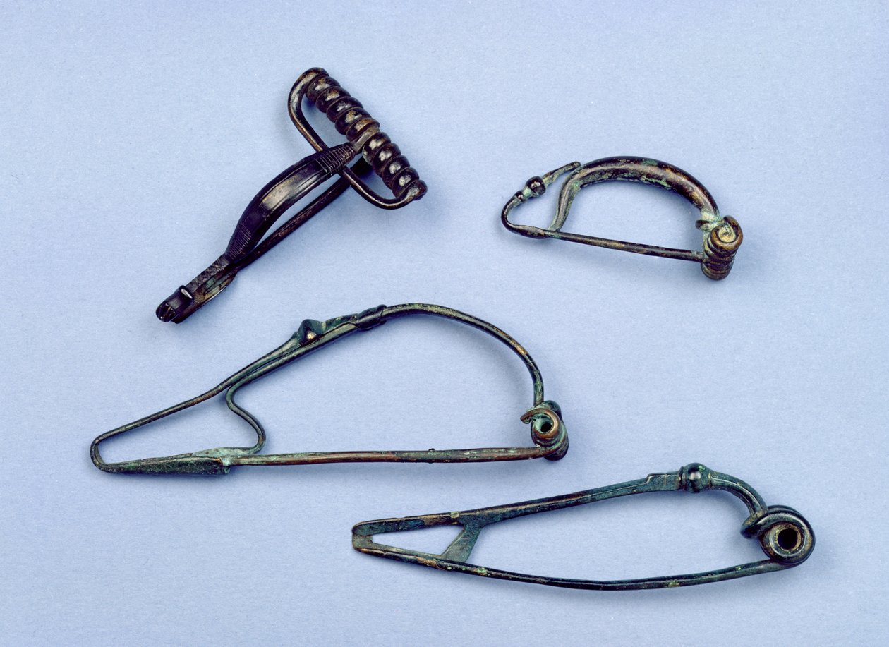 Neljä rintakorua, varhainen rautakausi, 600-100 eKr. (rauta) tekijältä Iron Age