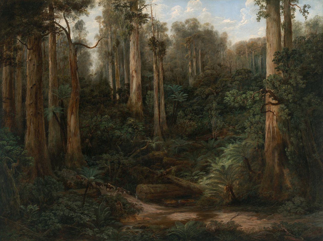 A Sassafras Gully, Gippsland tekijältä Isaac Whitehead