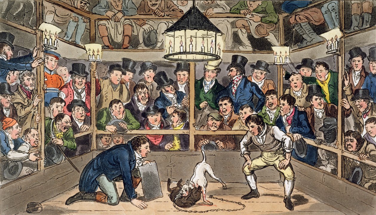 Tom ja Jerry kertovat suoraan ilmiöstä Monkey, Jacco Macacco, Westminster Pitissä, Pierce Eganin "Life in London" tekijältä Isaac Robert & George (1792 1878) Cruikshank