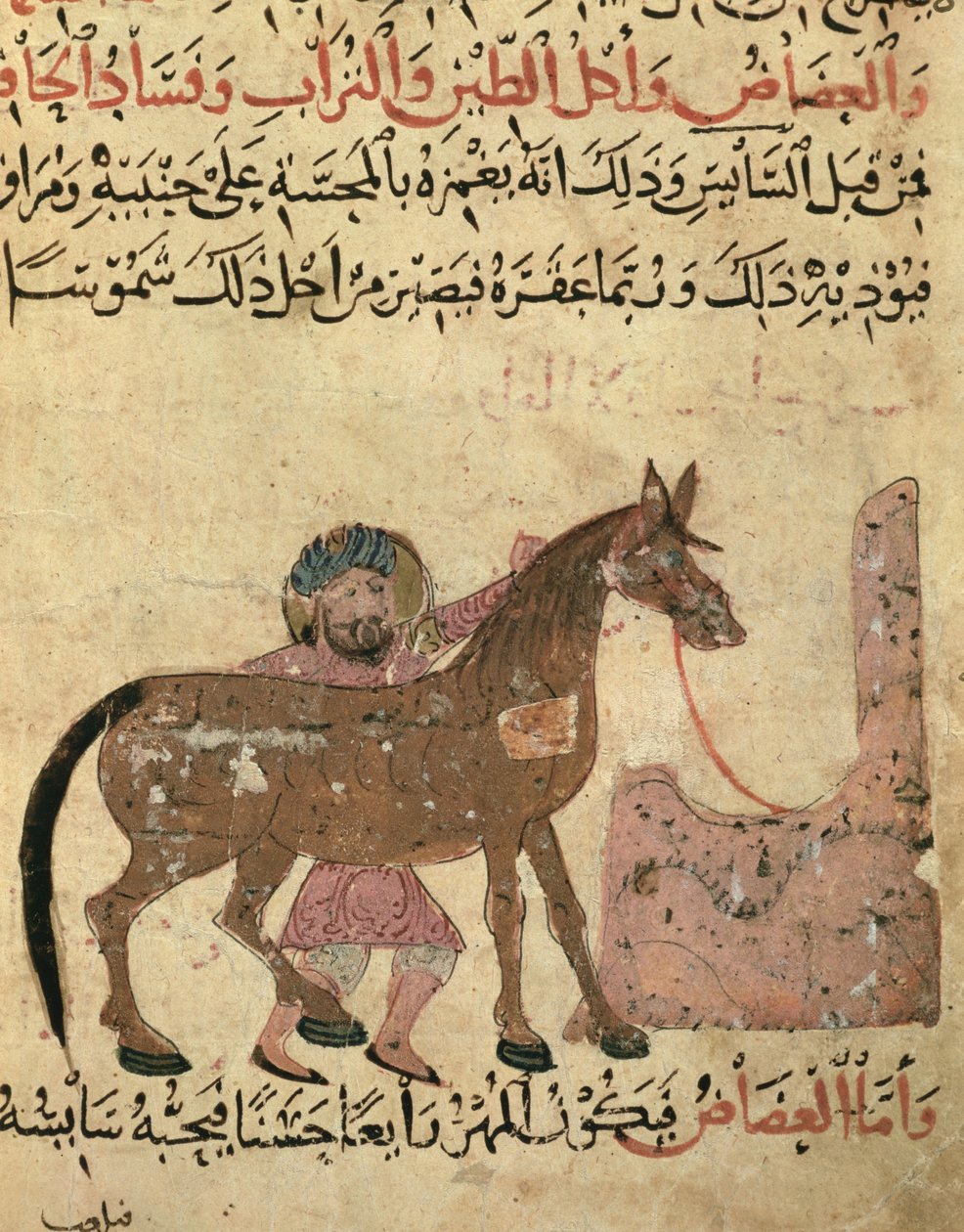 Hevosen hoito, kuvitus Ahmed ibn al-Husayn ibn al-Ahnafin kirjasta Farriry, 1210 tekijältä Islamic School