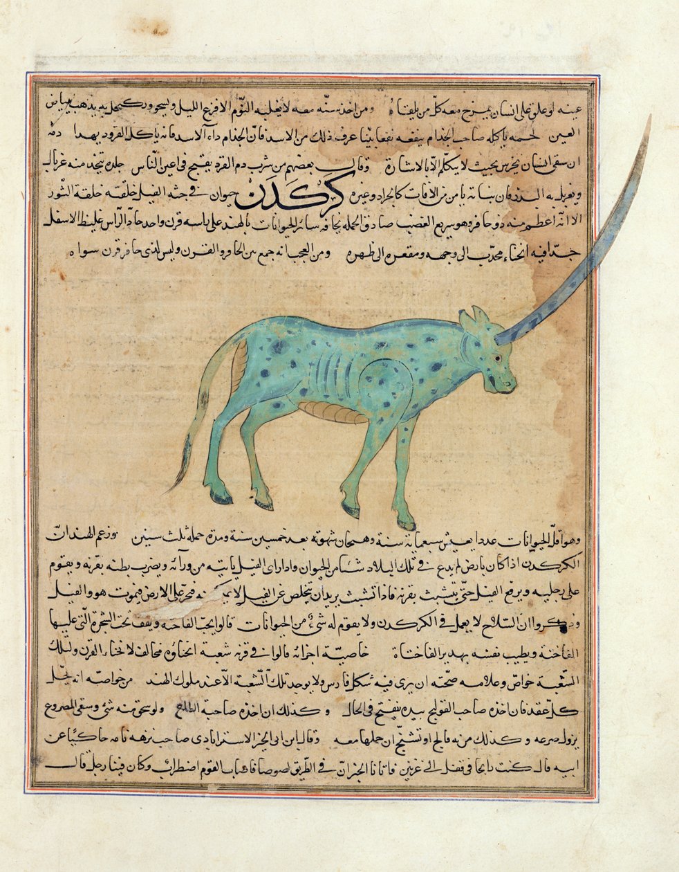 Ms E-7 fol.191b Rhinoceros, kuva Zakariya