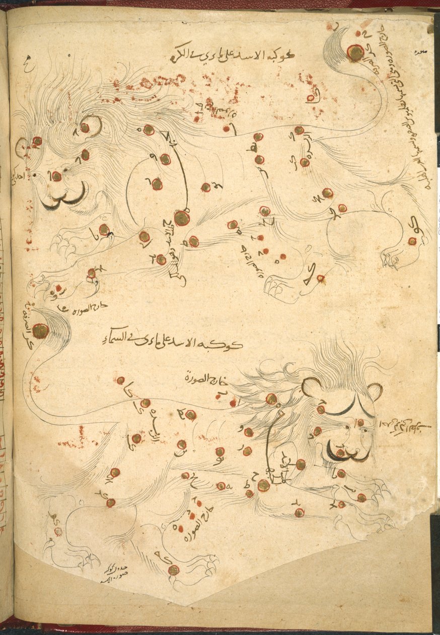 Tai 5323 f.45v Kaksi leijonaa, kuva Abd al-Rahman al-Sufin kirjasta Kiinteiden tähtien kuvaus (muste ja väri paperille) tekijältä Islamic School