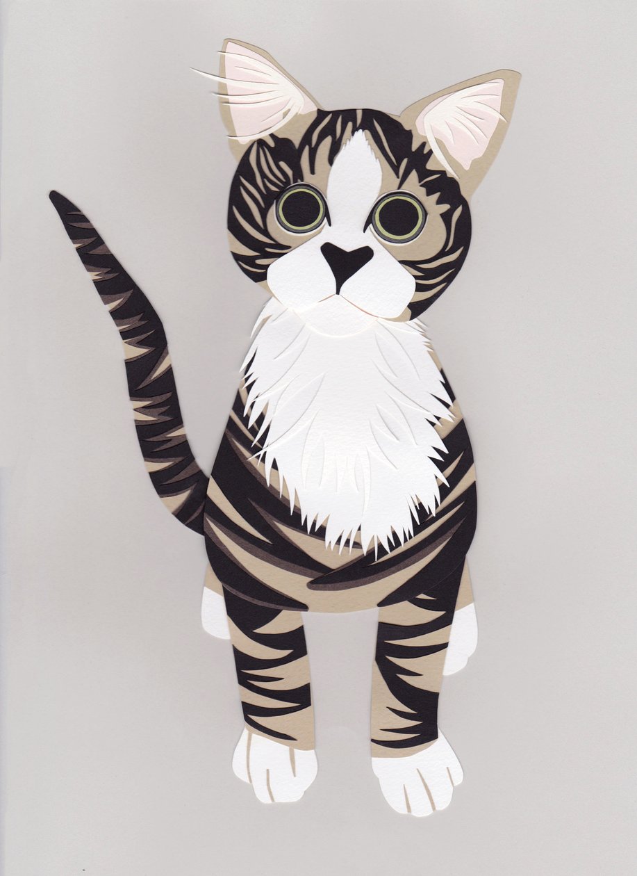 Pussycat, 2016 (paperi) tekijältä Isobel Barber