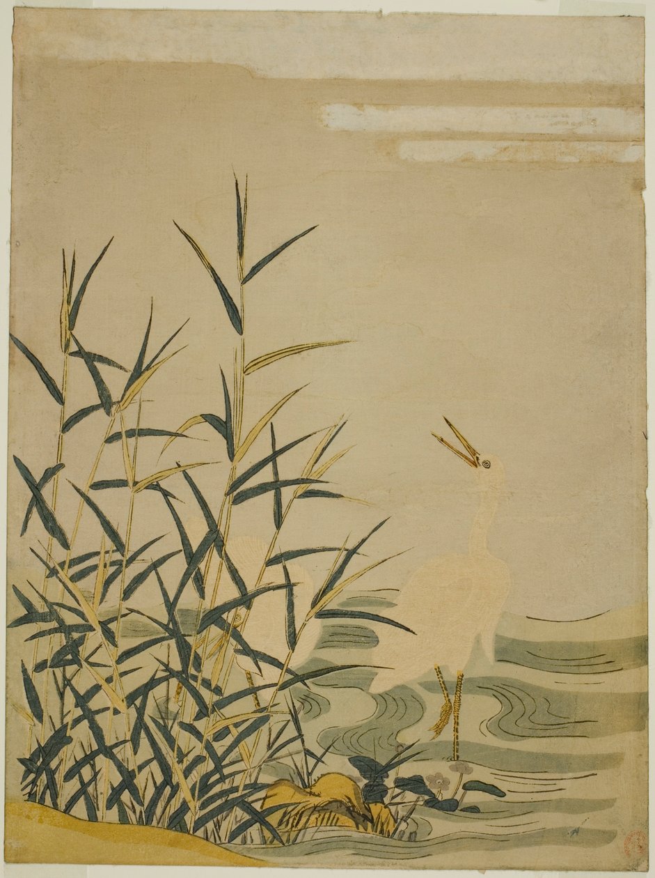 Egrets in Reeds tekijältä Isoda Koryusai