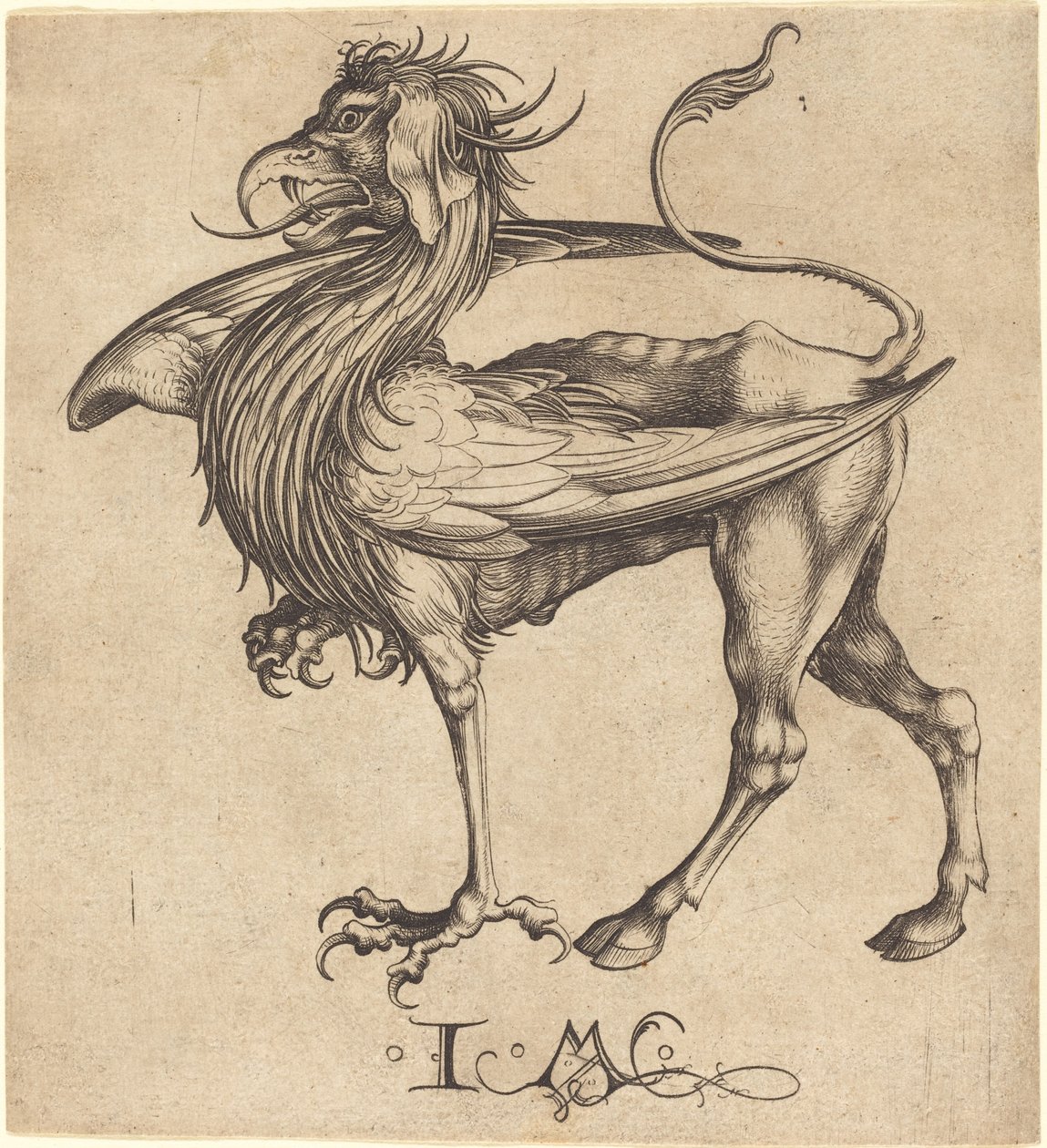 Griffin tekijältä Israhel van Meckenem after Martin Schongauer