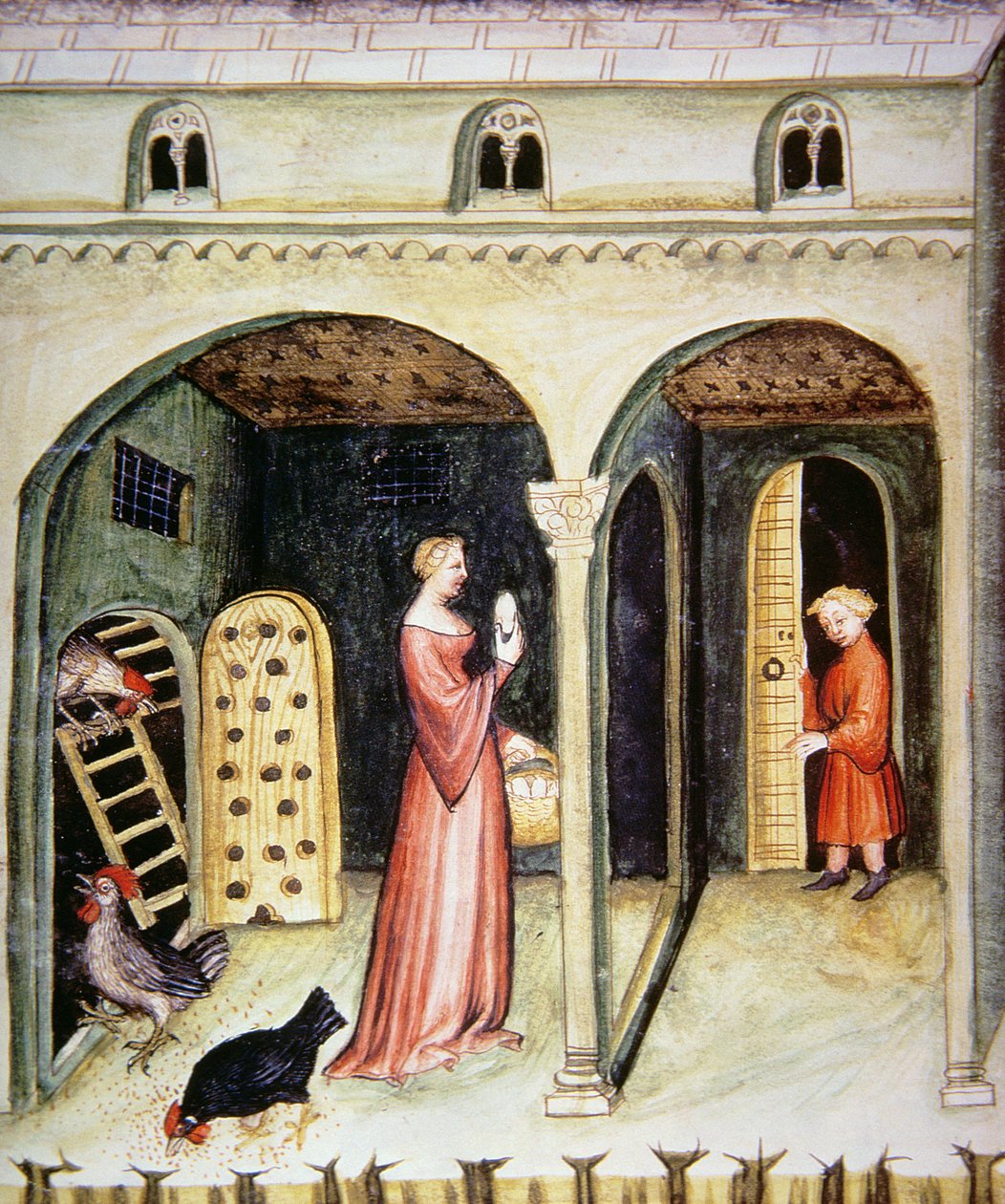 Fol.65v Kasvatuskanat, kuva Tacuinum Santiatis Codex Vindobonensis tekijältä Italian School
