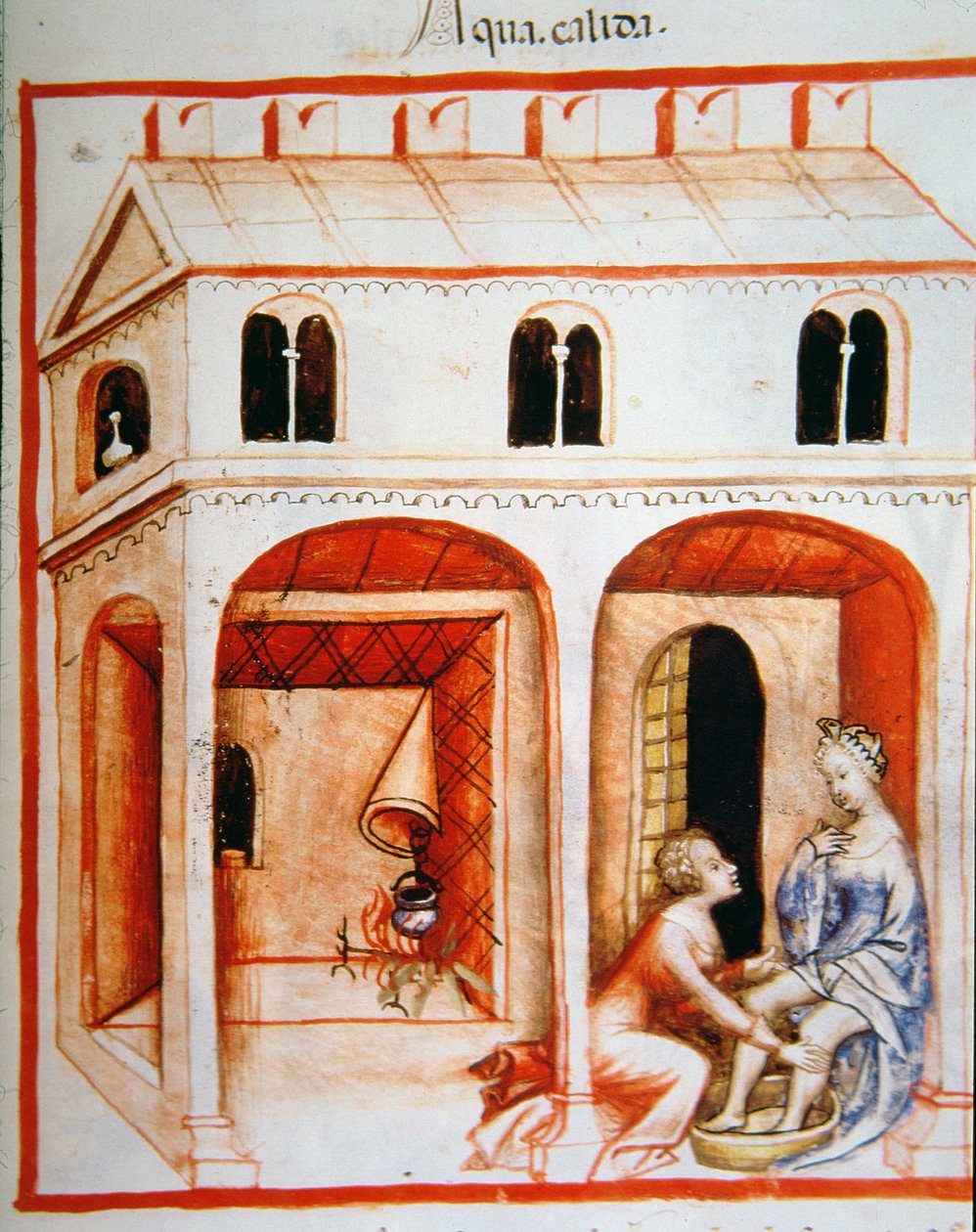 Fol.89r Hot Water, kuvitus Tacuinum Santiatis Codex Vindobonensisista tekijältä Italian School