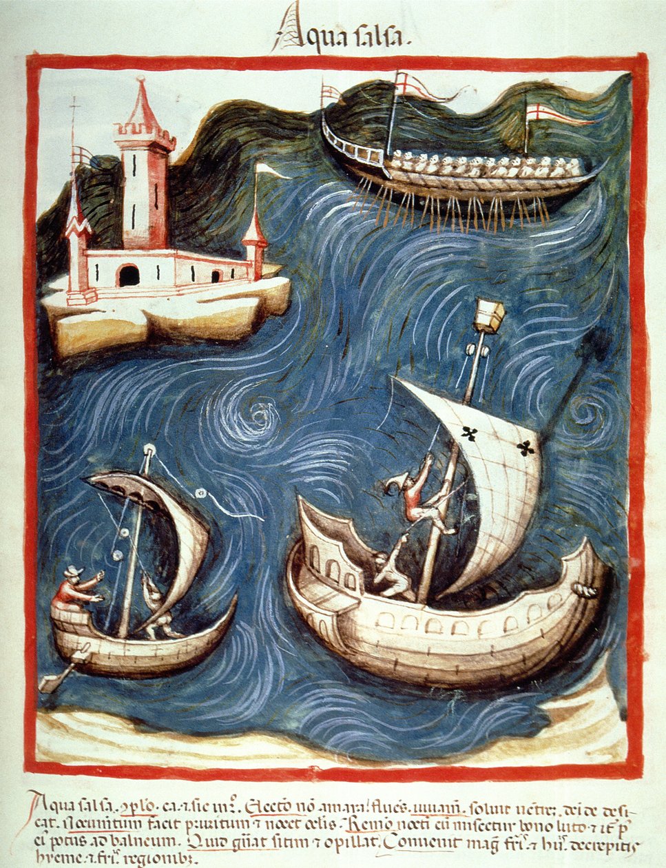 Nova 2644 f.88r Veneitä merellä, kuva Tacuinum Santiatis Codex Vindobonensis tekijältä Italian School
