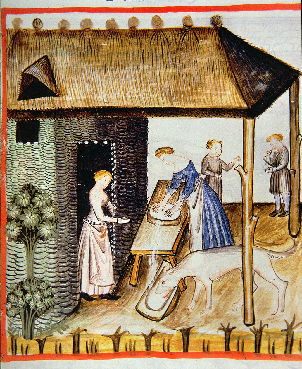 Nova 2644 fol.60r Tuorejuuston valmistus, Tacuinum Sanitatis tekijältä Italian School