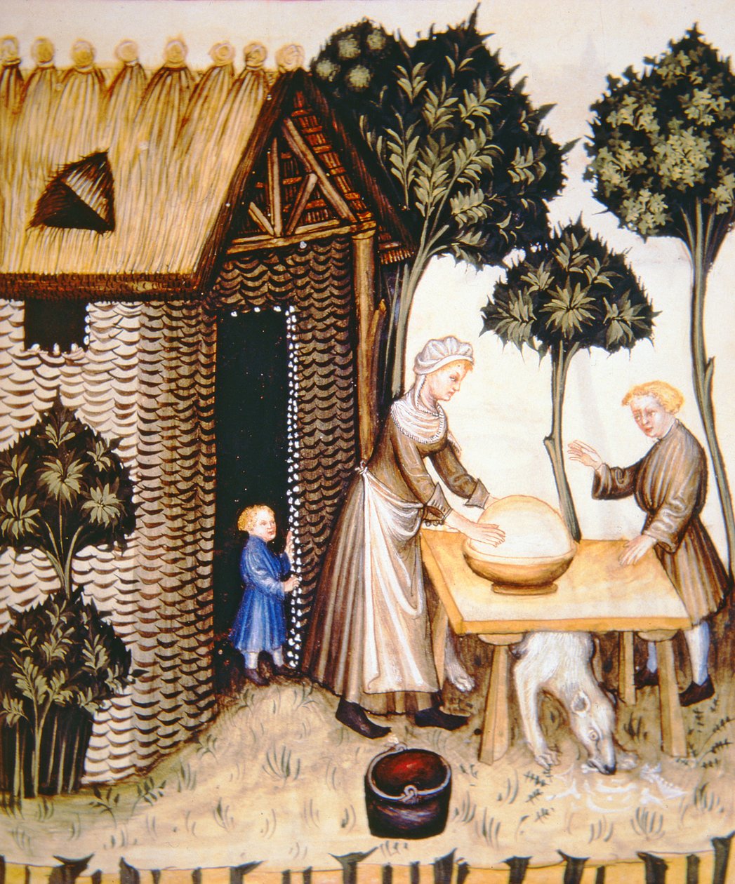 Nova 2644 fol.61r Voin valmistus, Tacuinum Sanitatis tekijältä Italian School