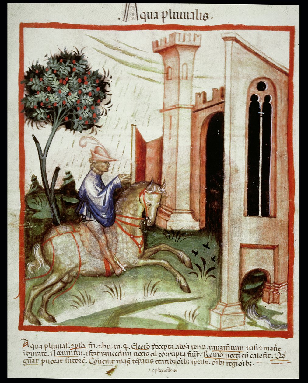 Nova 2644 fol.89v Rainwater, valmistaja Tacuinum Sanitatis tekijältä Italian School