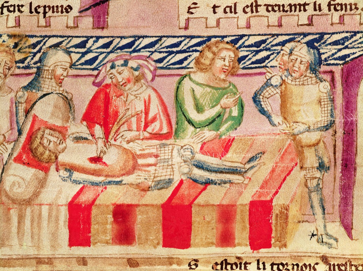 Operaatio haavoittuneelle sotilaalle "Roman de Troiesta" tekijältä Italian School