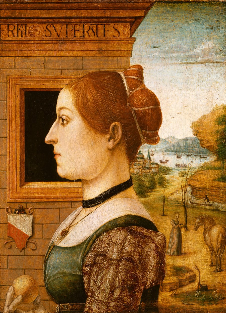 Naisen muotokuva, n. 1494 (tempera puulla) tekijältä Italian School Italian School
