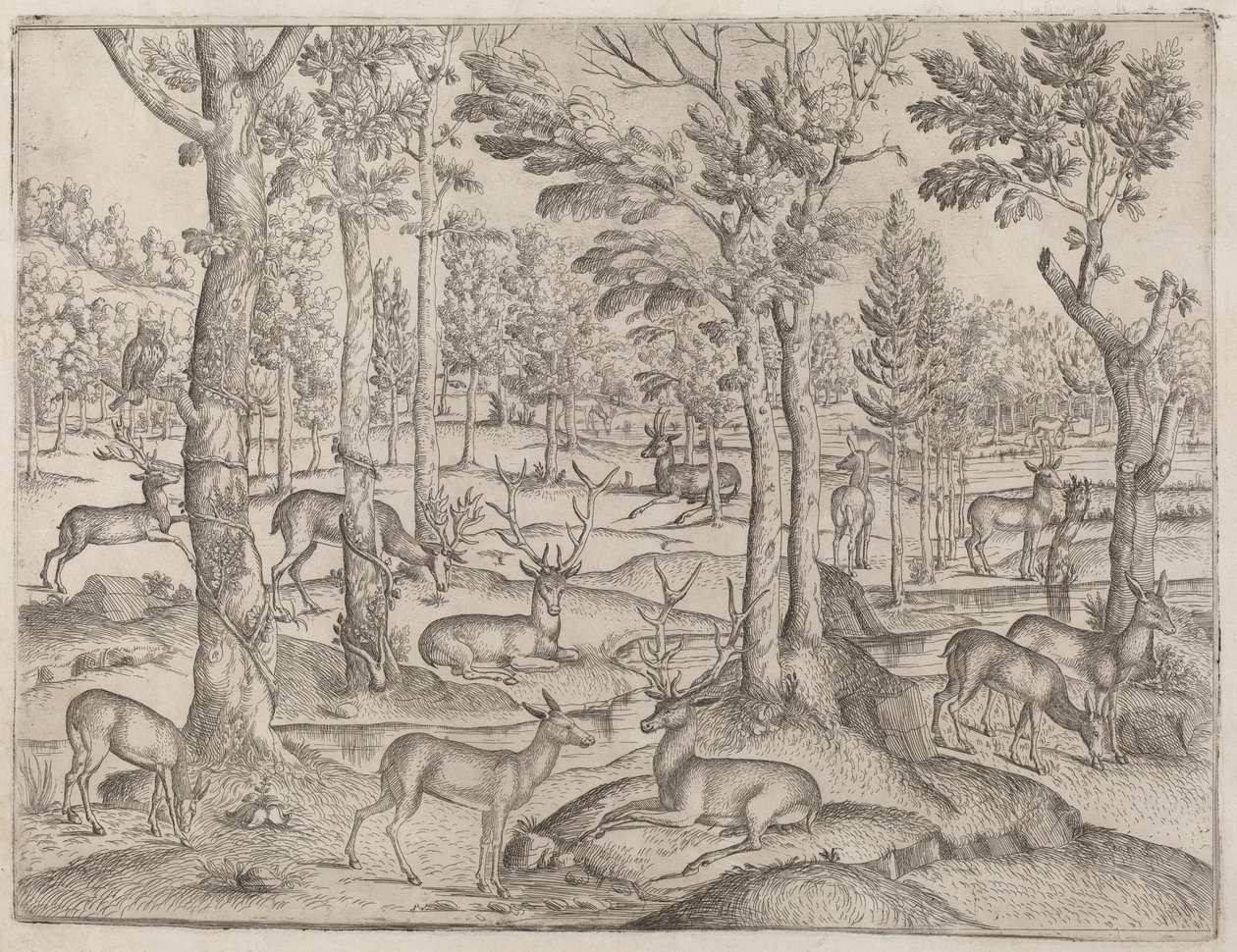 Hirvi metsässä tekijältä Italian 16th Century