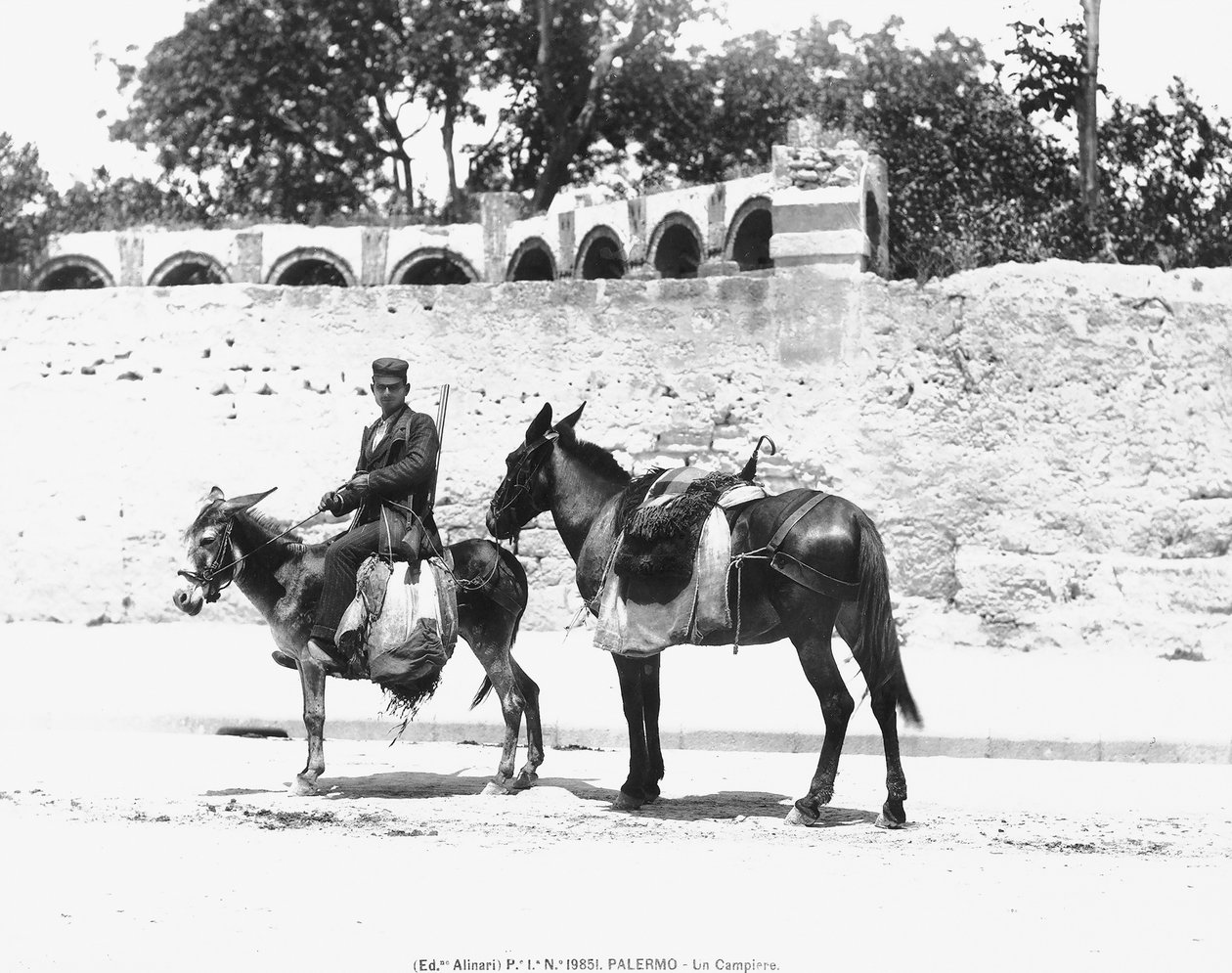 Campieressa, Palermossa, noin 1920 tekijältä Italian Photographer