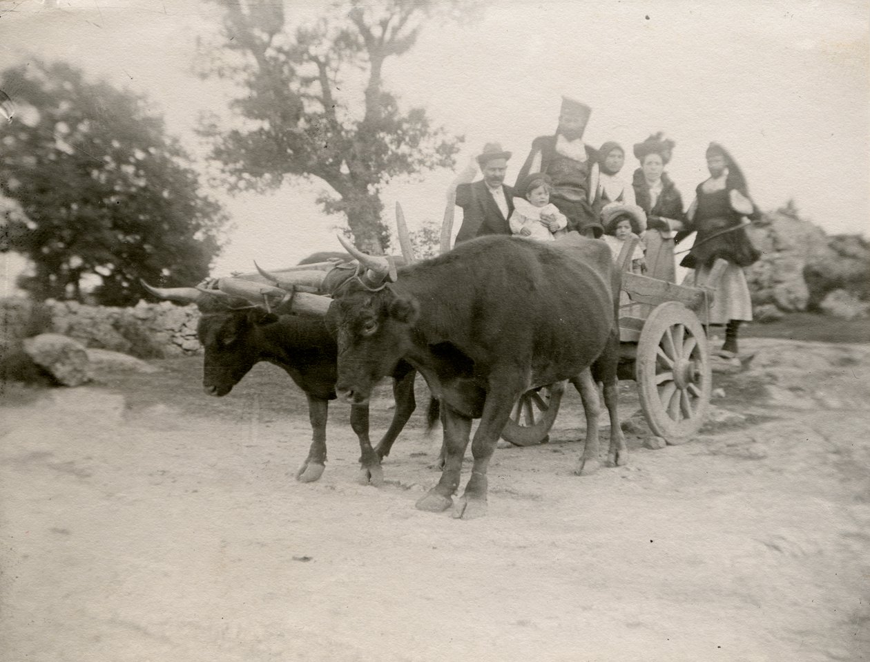 Perhe härän vetämissä kärryissä, Sardinia, Italia, n. 1910. tekijältä Italian Photographer