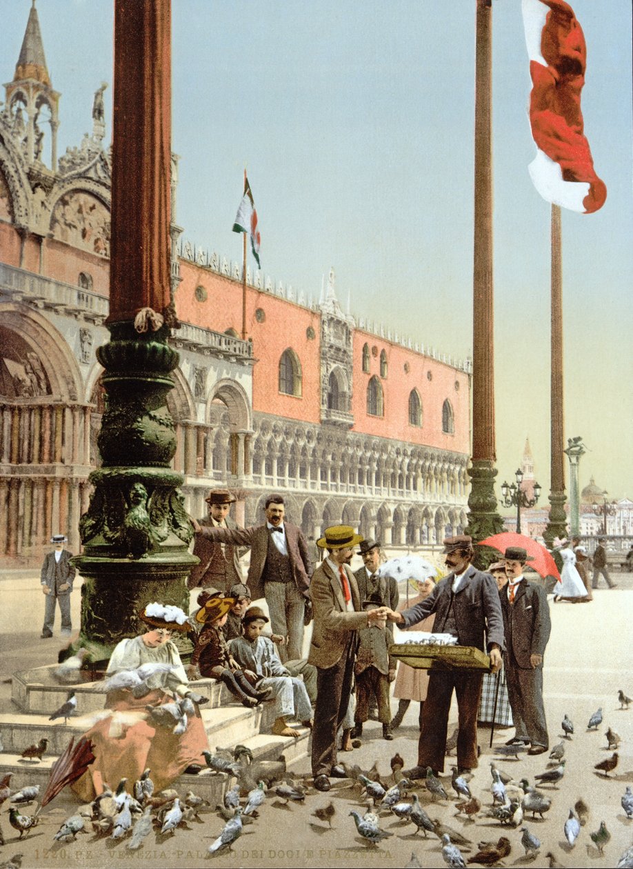 Kyyhkysten ruokkiminen Venetsian Pyhän Markuksen aukiolla, noin 1900 tekijältä Italian Photographer