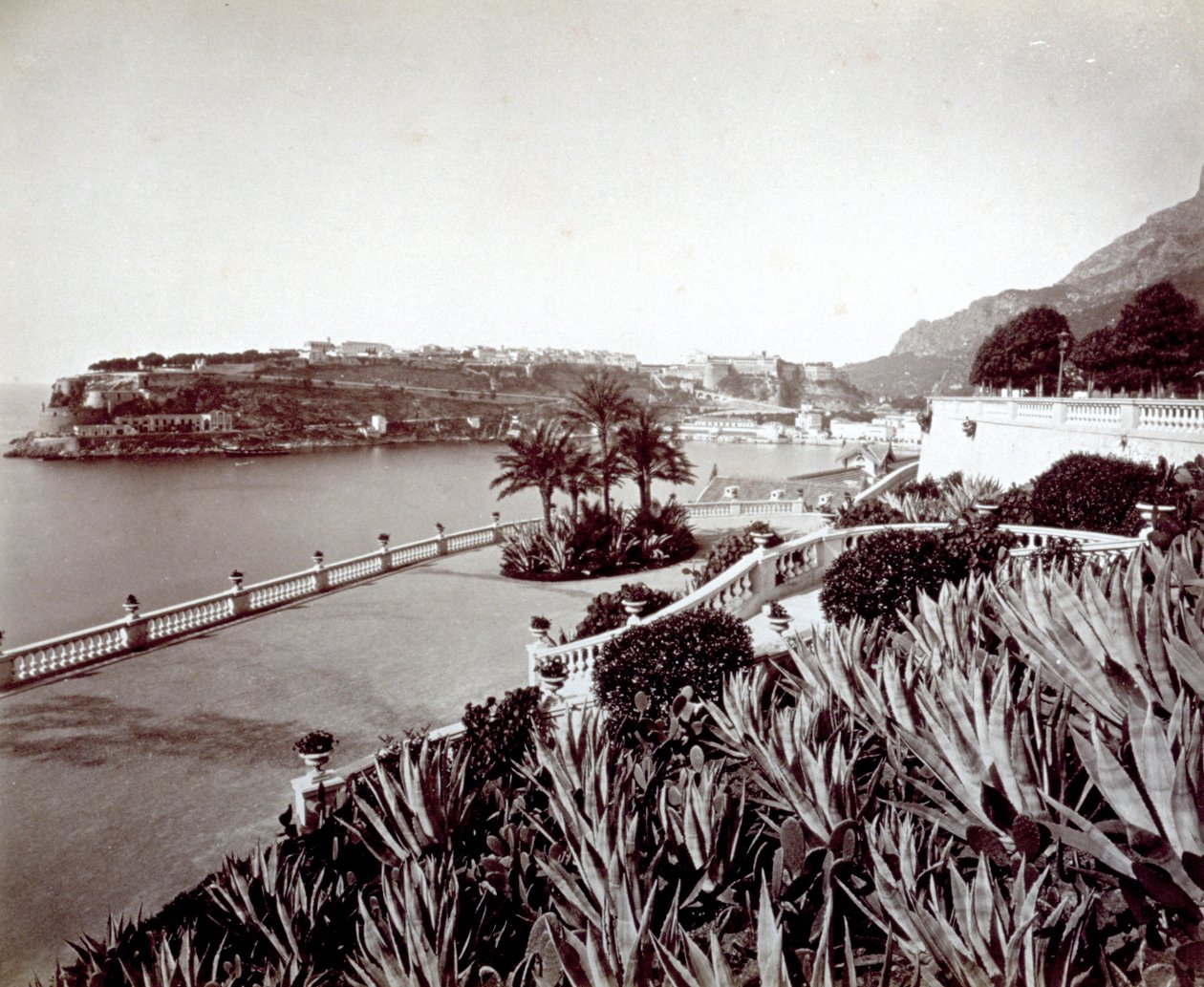 Panoraama Montecarlosta. Etualalla tiheä agavekasvien ja kaktuksen kasvillisuus tekijältä Italian Photographer
