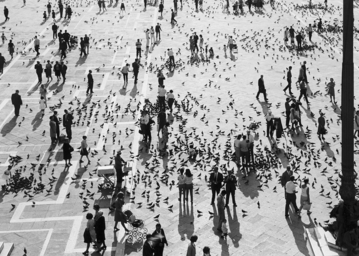 Näkymä väkijoukkoon Piazza San Marcolla, Venetsiassa, n. 1965 (b/w kuva) tekijältä Italian Photographer