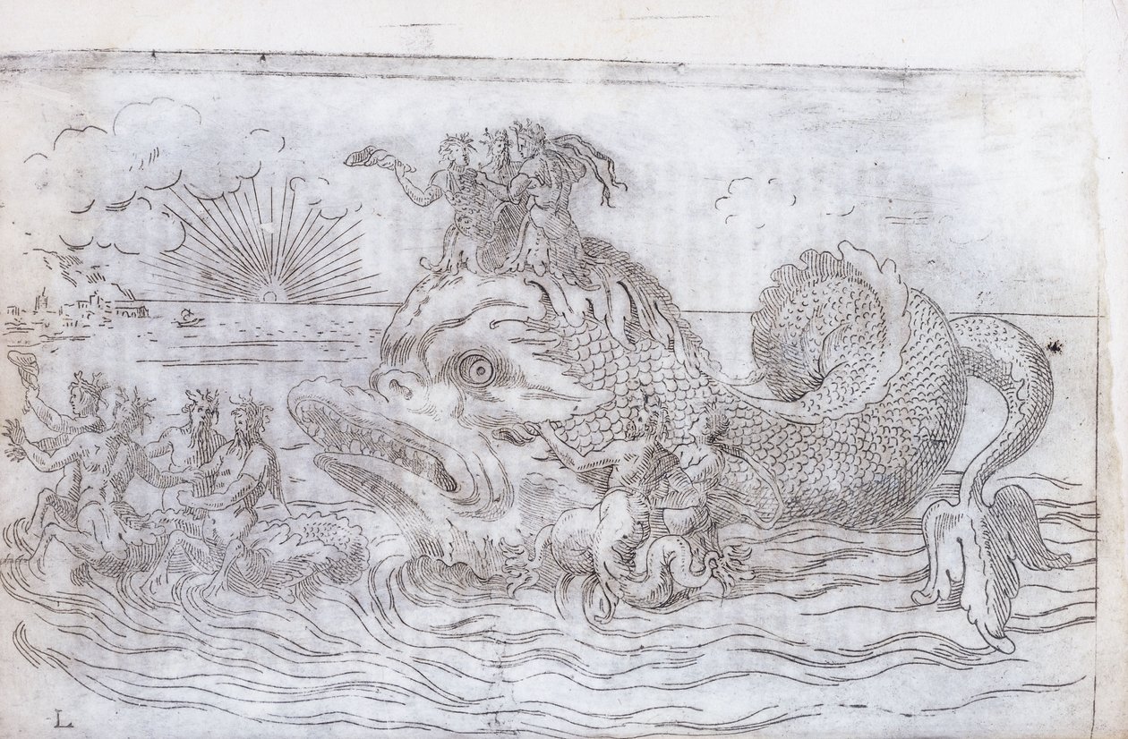 Fantastinen kalavaunu, 1579 tekijältä Italian School