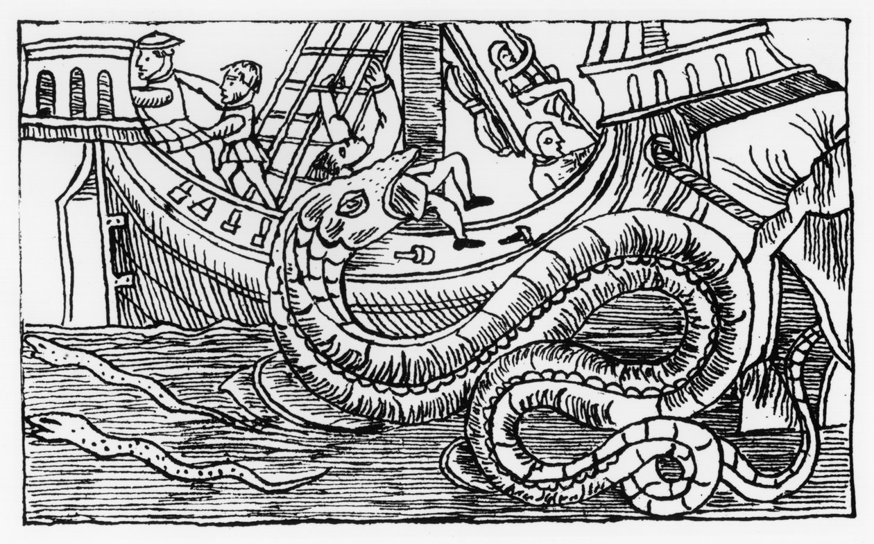 Merikäärme, Olaus Magnuksen (1490-1557) teoksesta Historia de Gentibus Septentrionalibus, julkaistu Roomassa, 1555 tekijältä Italian School