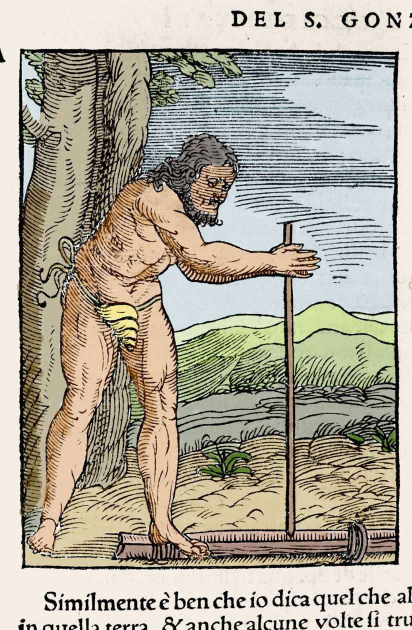 Alkuperäinen mies sytyttää tulta hieromalla kahta puupalaa. Giovanni Battista Ramusio (1485-1557) kaiverrus "Navigationista ja Viaggista" III, Venetsia 1565. tekijältä Italian School
