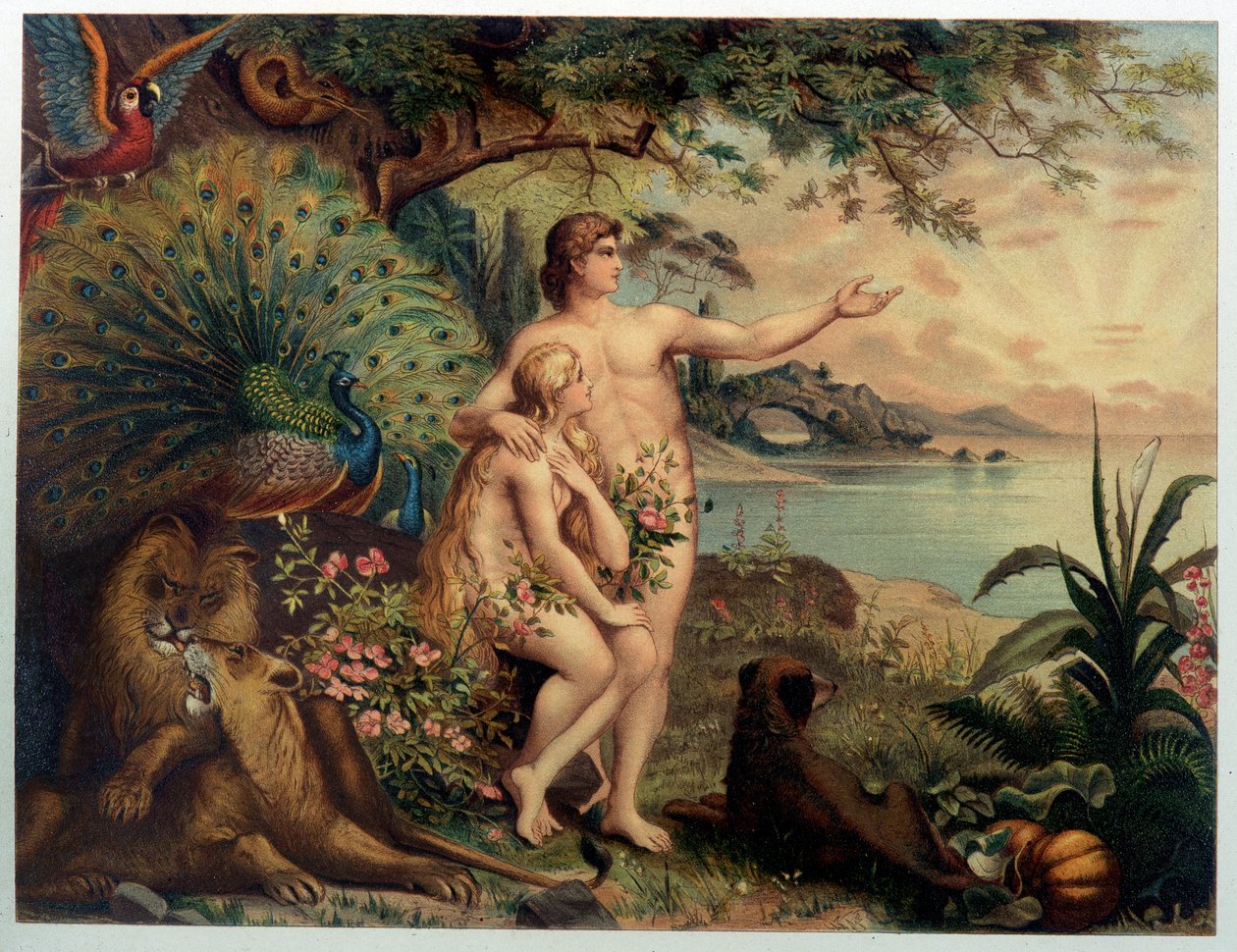 Adam and Eve au Paradise earthly (Eden) - kirjassa "" Kultainen klassinen Raamattu: jumalallisen ilmestyksen historia muinaisessa ja uudessa pyrkimyksessä ""”, kirjoittanut Giovanni Ladislao Sykora (nide 1), kääntänyt Don Clemente Benetti. (Italialainen Ra tekijältä Italian School