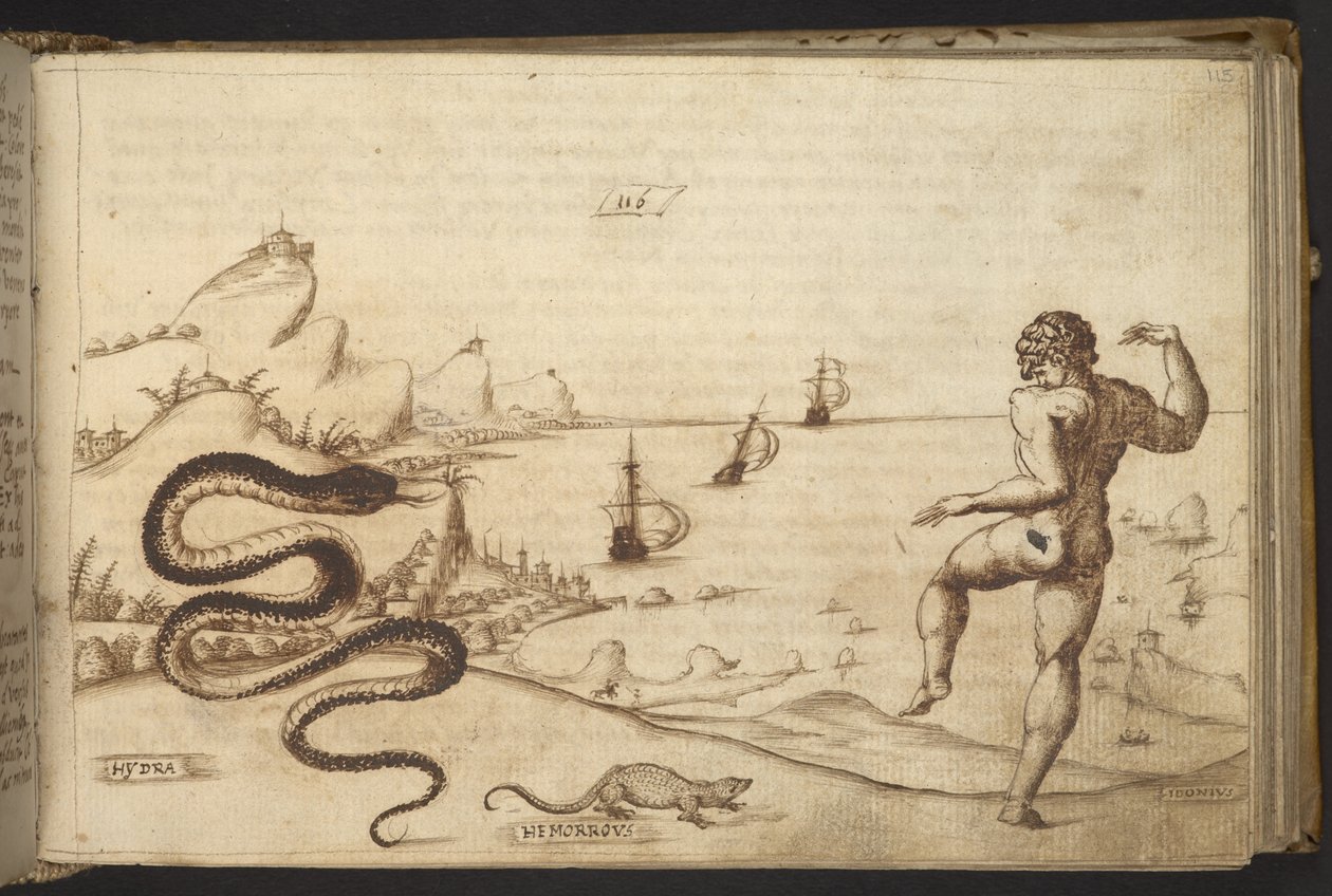 Lisätä. 82955, f.115 käärme (