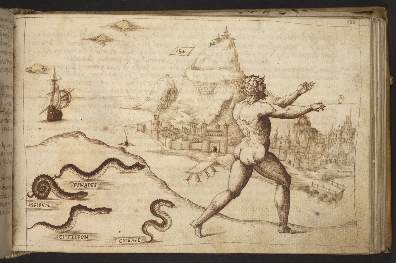 Lisätä. 82955, f.133   Käärmeet jahtaavat ihmishahmoa.  , Historia Animaliumilta, (koostuu 245 kynällä ja musteella tehdystä piirroksesta eri eläinlajeista ja myyttisistä olennoista, joista jokaiseen on liitetty kuvaus.)    1595 tekijältä Italian School