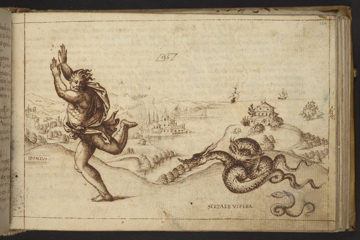 Lisätä. 82955, f.134 Ihmishahmo, jota käärmeet takaavat., Historia Animalium tekijältä Italian School