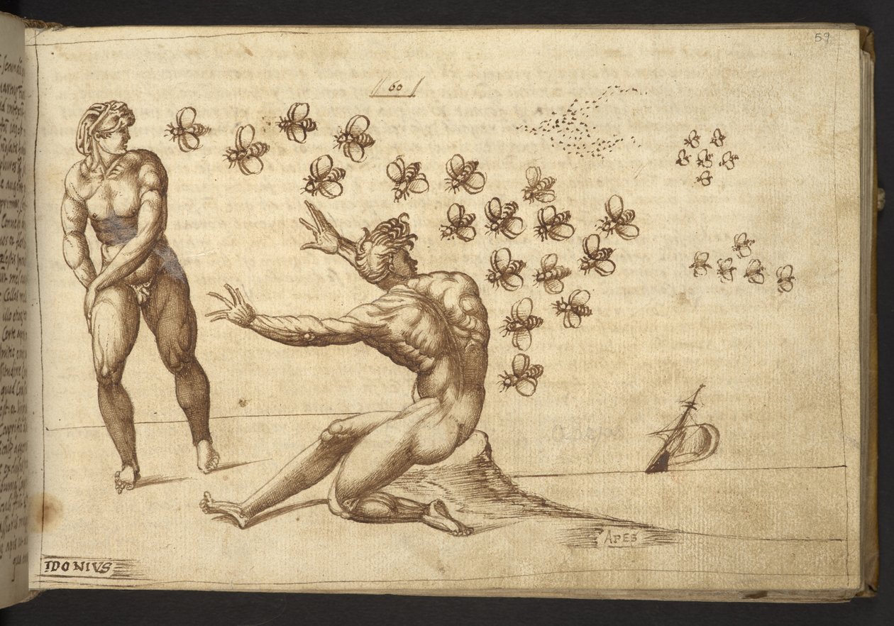 Lisätä. 82955, f.59 Mehiläiset (