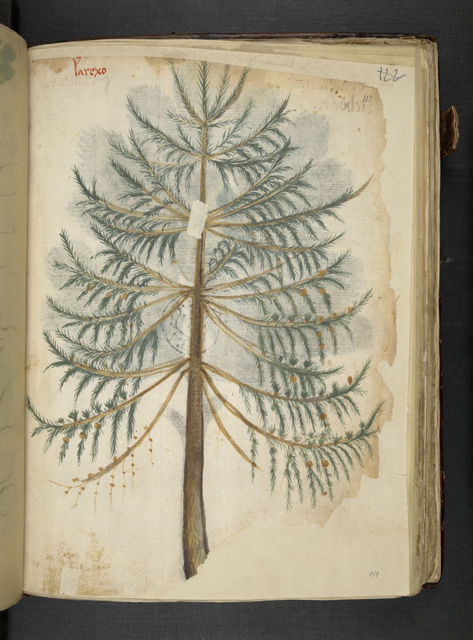 Lisää MS 41623 f.111r 