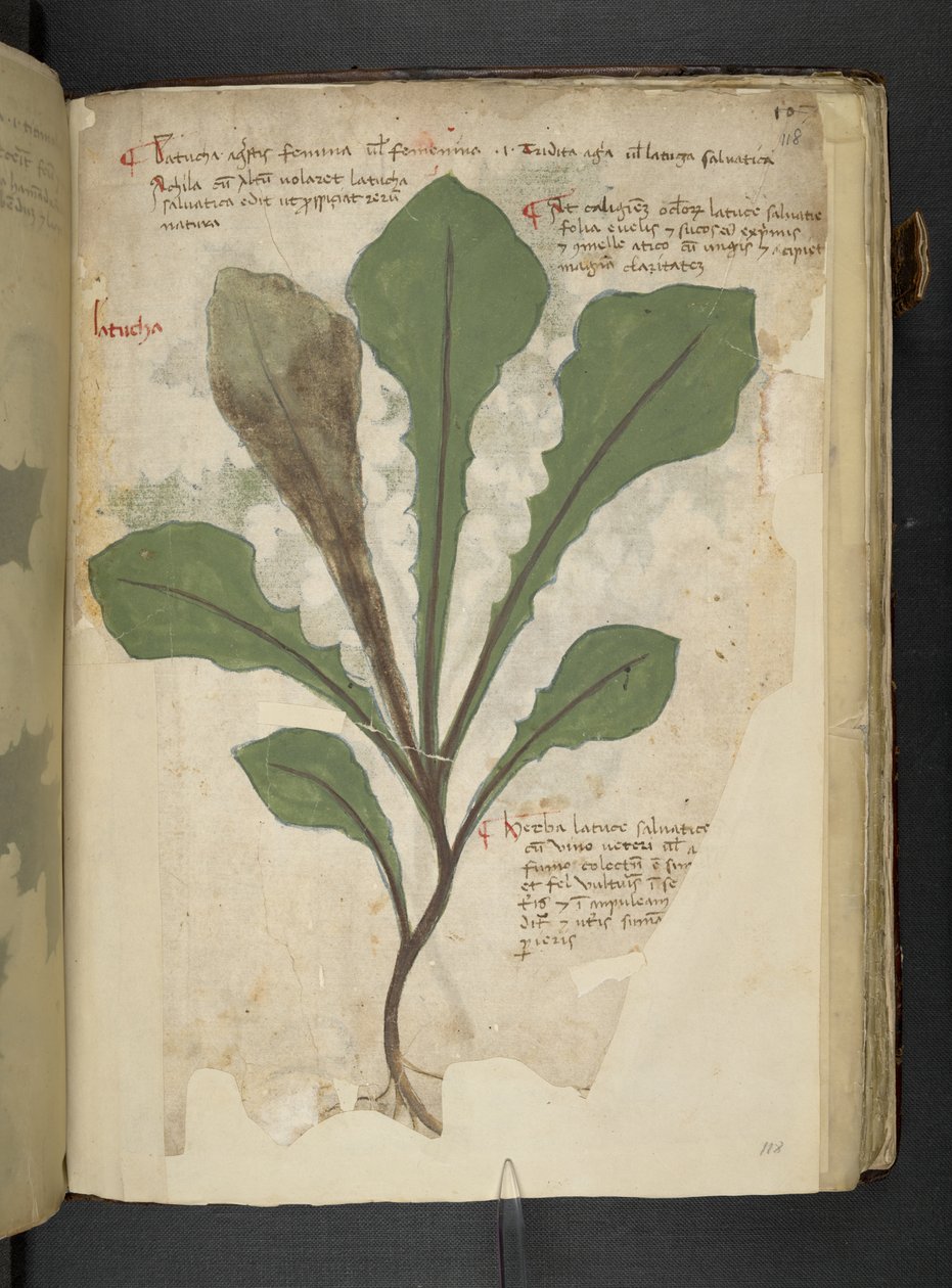 Lisää MS 41623 f.118r 