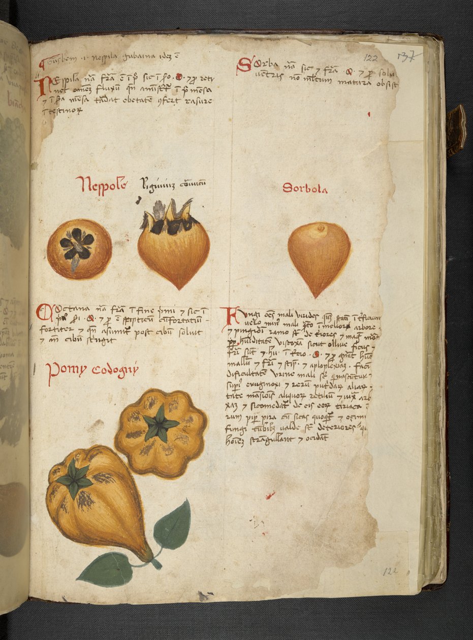 Lisää MS 41623 f.122r Pere Cotogne ja Sorbo, 