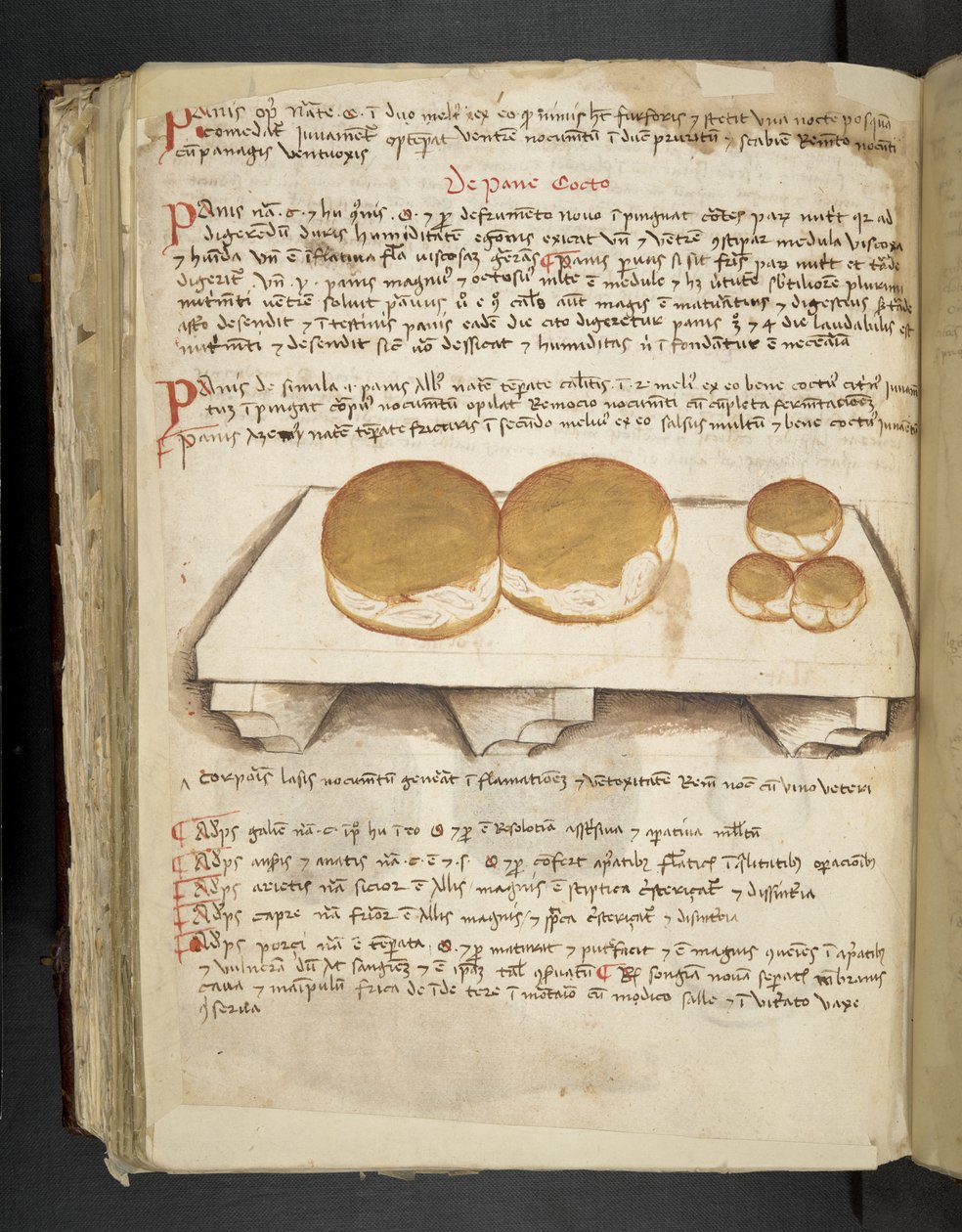 Lisää MS 41623 f.124v De Pane, 