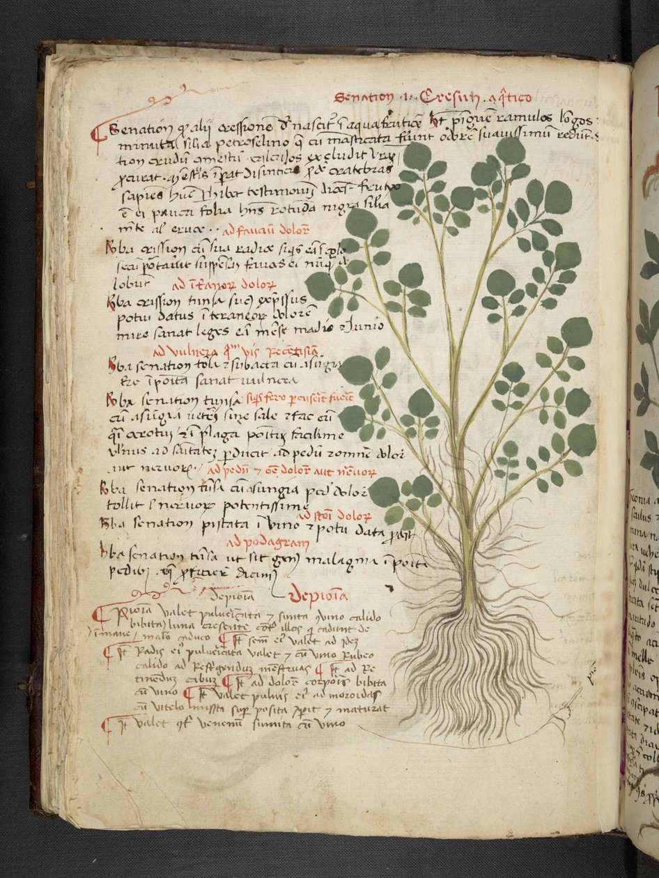Lisää MS 41623 f.32v 