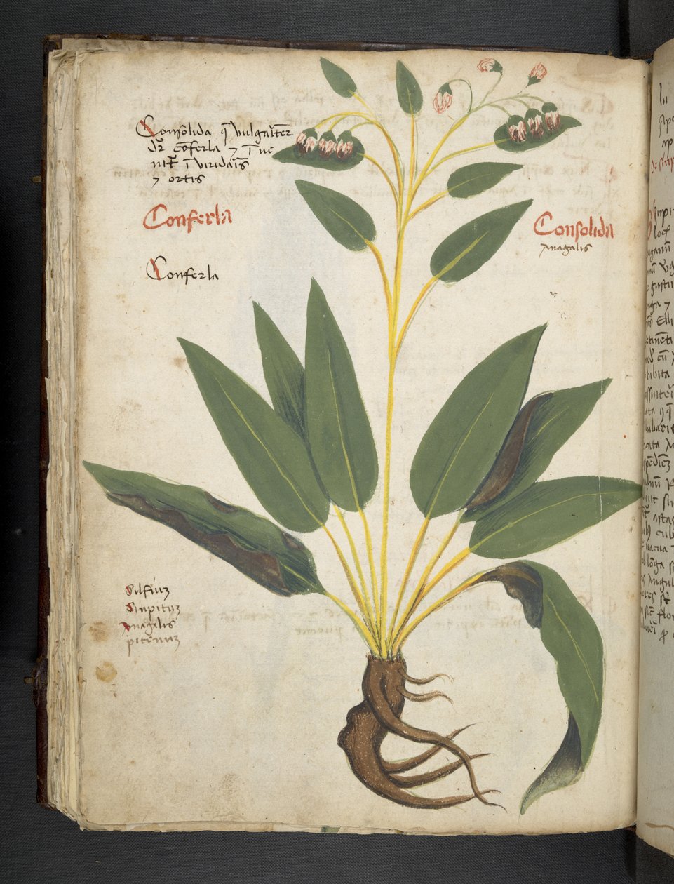 Lisää MS 41623 f.63v 