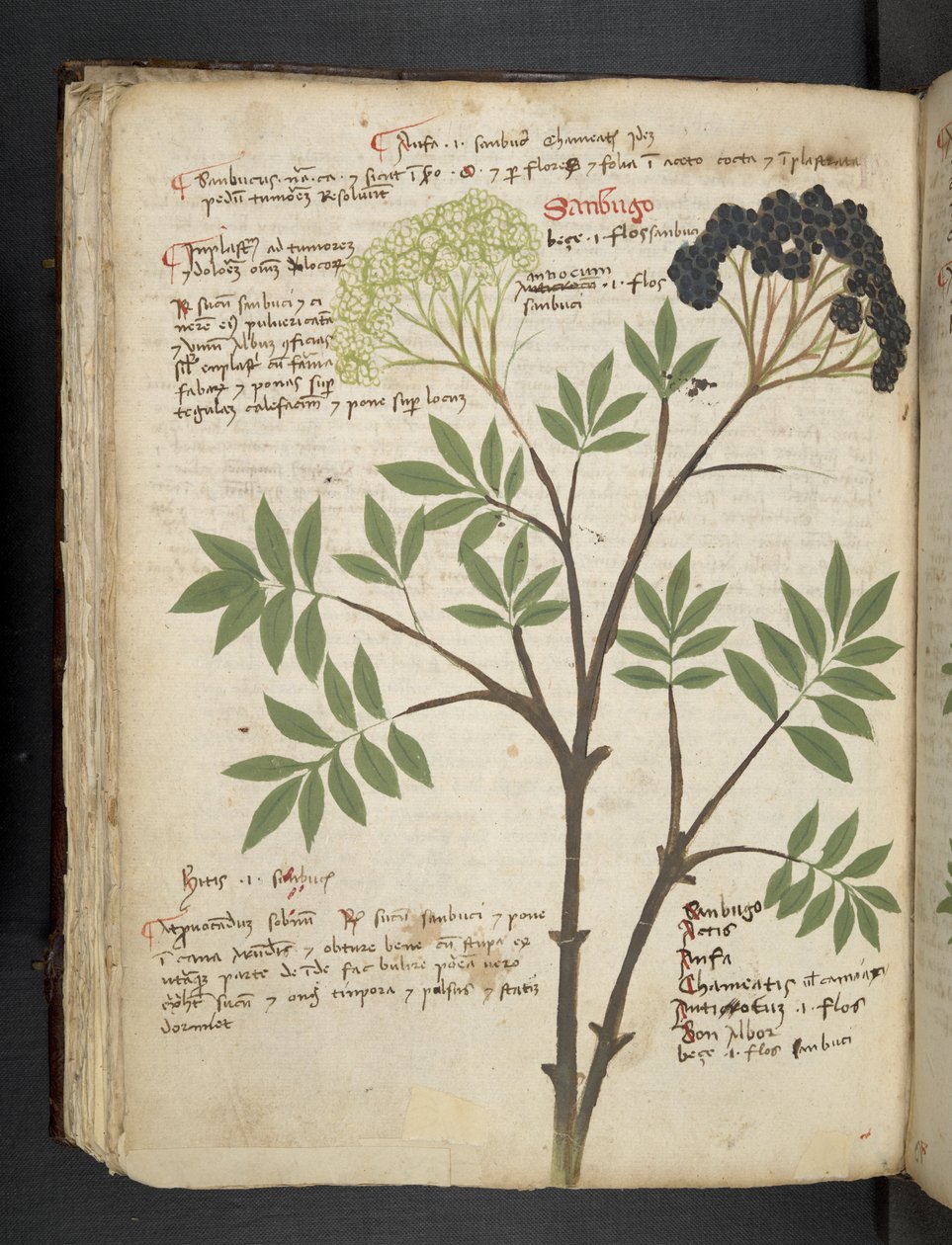 Lisää MS 41623 f.72v 