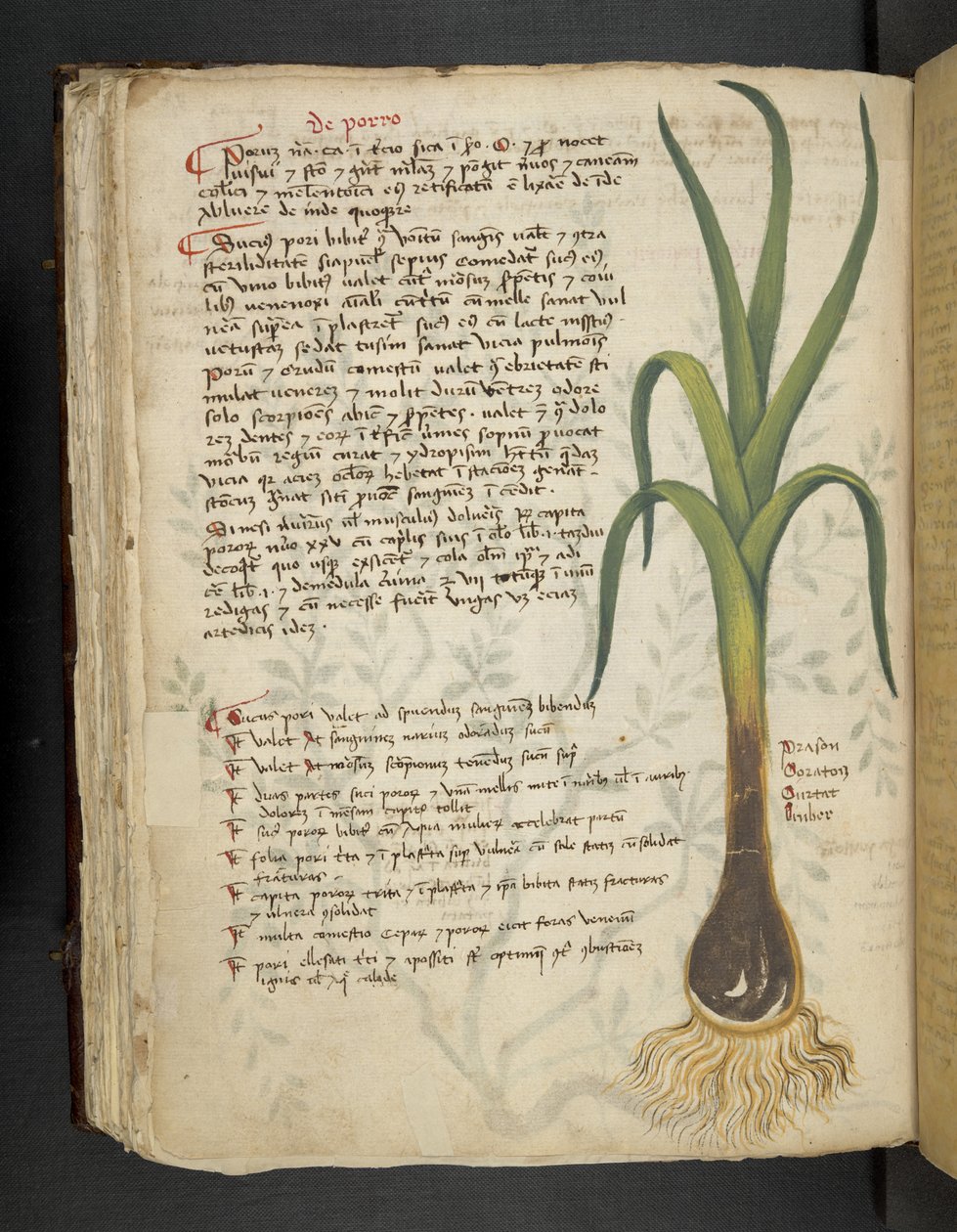 Lisää MS 41623 f.87v De Porro 