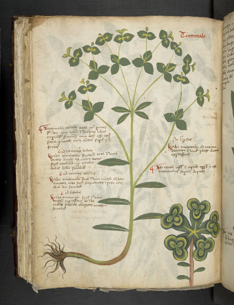 Lisää MS 41623 f.94v 