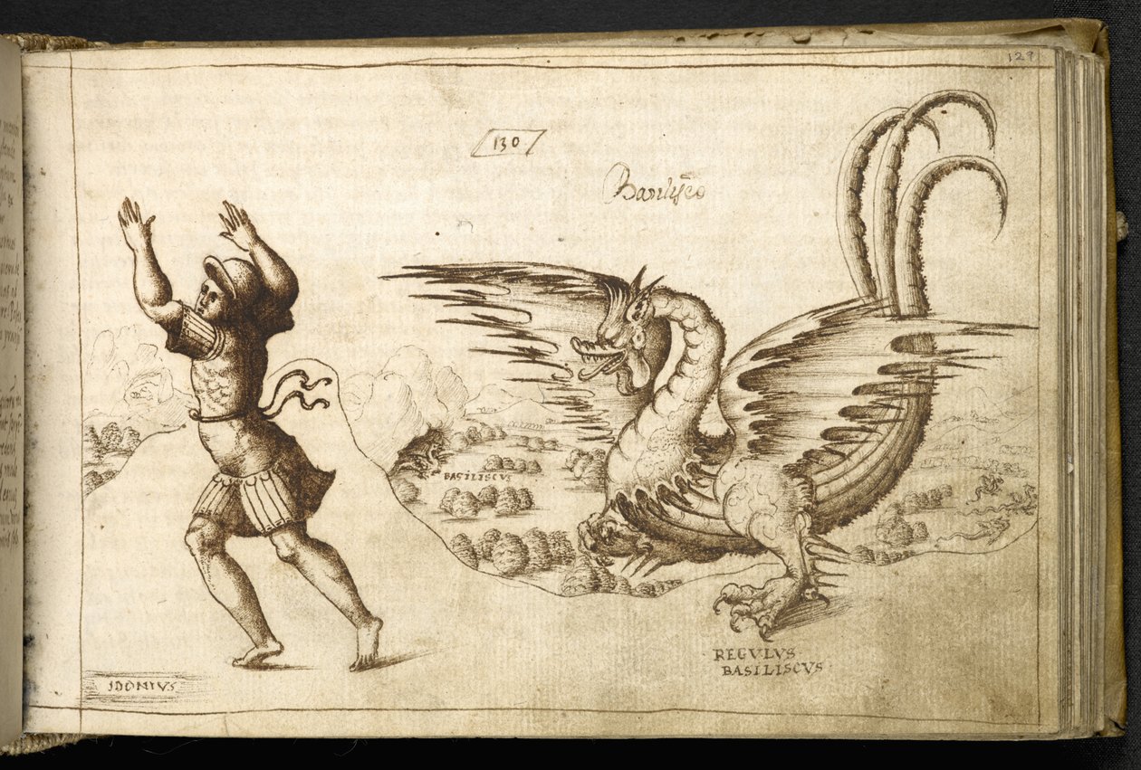 Lisää MS 82955 f.129r Dragon Historia Animaliumista tekijältä Italian School