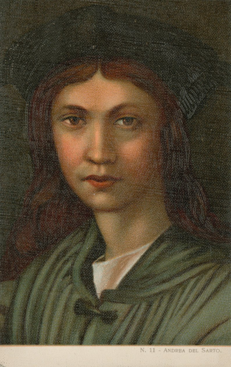 Andrea del Sarto, italialainen taidemaalari (kromoliitti) tekijältä Italian School