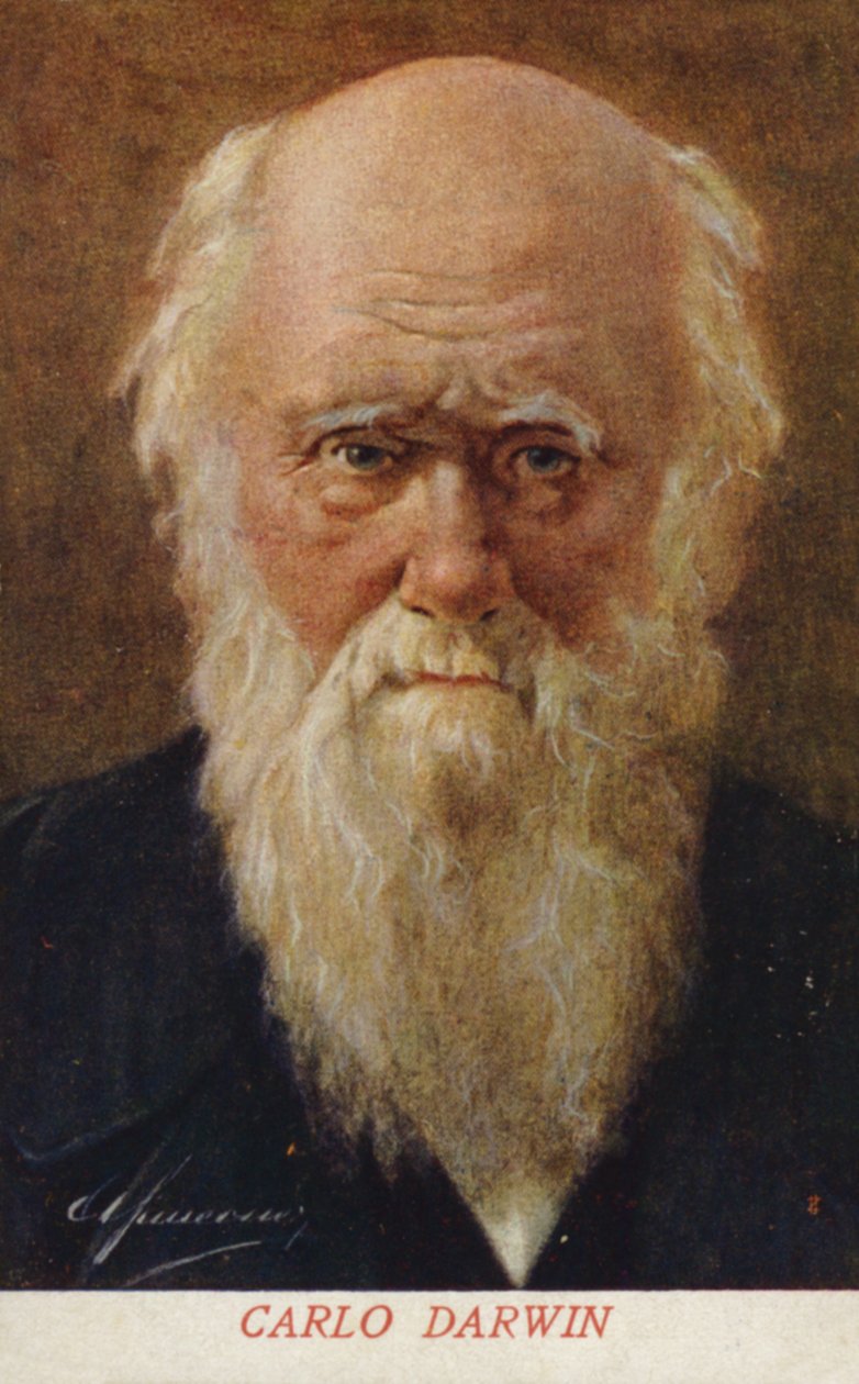 Charles Darwin (1809-1882), englantilainen luonnontieteilijä (väriliitoskuva) tekijältä Italian School