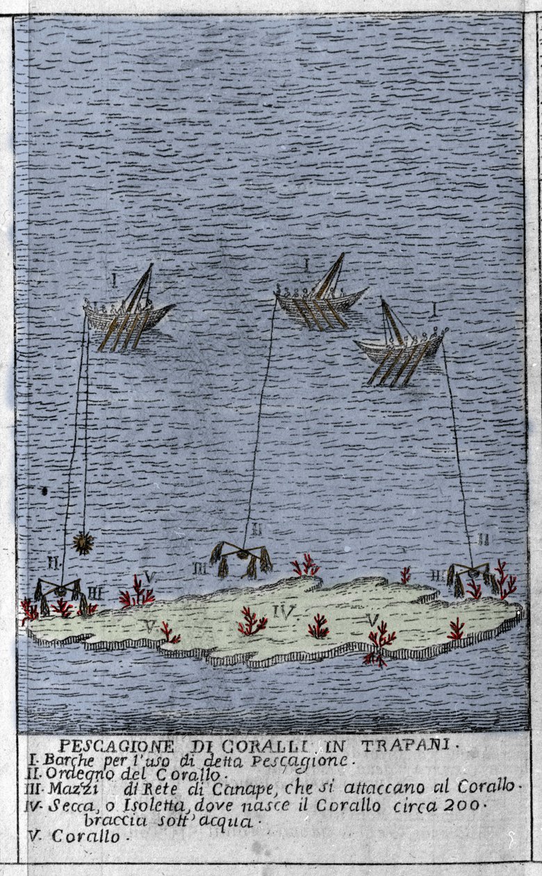Korallin kalastus Sisilian Trapaninlahdella, joka edustaa pieniä vedenalaisia saaria, joille muodostuu korallitynnyreitä. Kaiverrus "" Stato Presente della Sicilia" - kirjoittaja Arcangelo Leanti, Palermo 1761 tekijältä Italian School