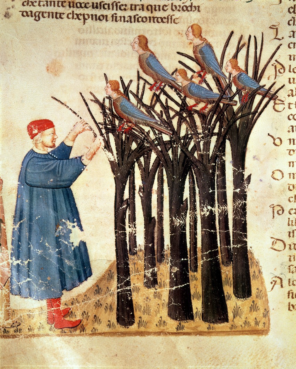 Dante ja sielut muuttuneet linnuiksi Dante Alighierin (1265-1321) jumalallisesta komediasta tekijältä Italian School